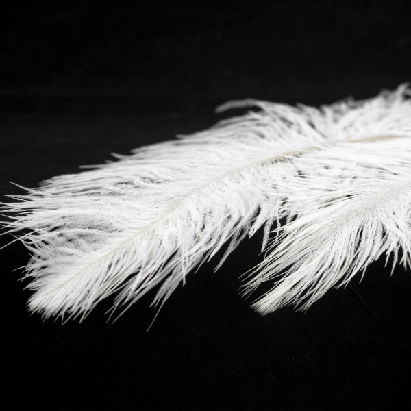 Люстра Lussole GRLSP-8600 от интернет-магазина IDODOM.RU