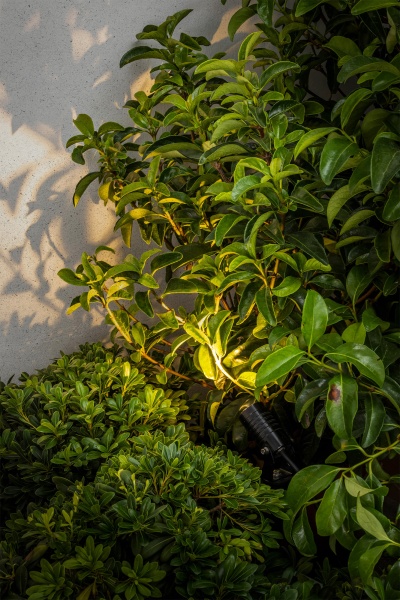 Светильник Balder от интернет-магазина IDODOM.RU