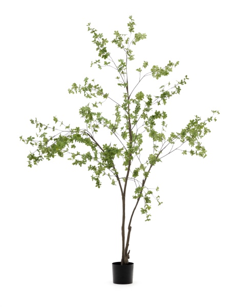 Enkianthus Искусственное дерево с черным горшком 214 см от интернет-магазина IDODOM.RU