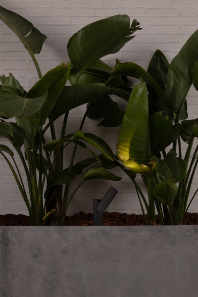 Темно-серая лампа Spy 145 на столбе  LED 6W 3000K 30° от интернет-магазина IDODOM.RU