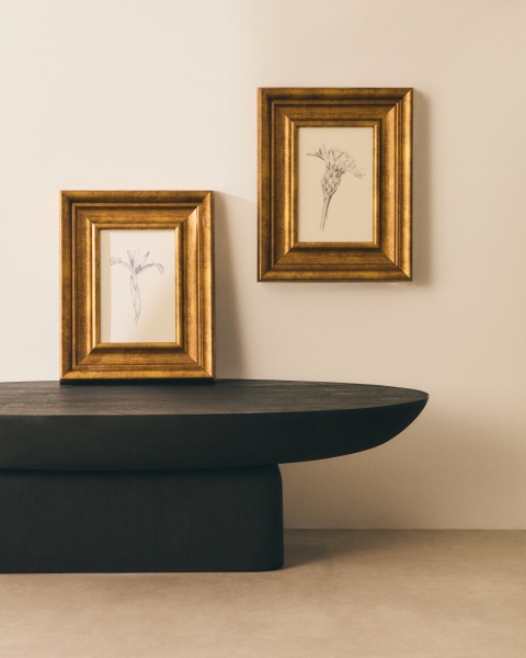 Картина Yalira с ботанической иллюстрацией 32,8 x 70 см от интернет-магазина IDODOM.RU