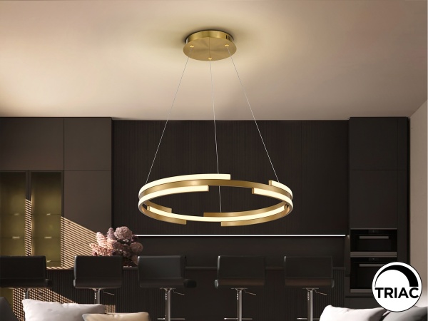 Подвесной светильник Ciclos золотой D60 от интернет-магазина IDODOM.RU