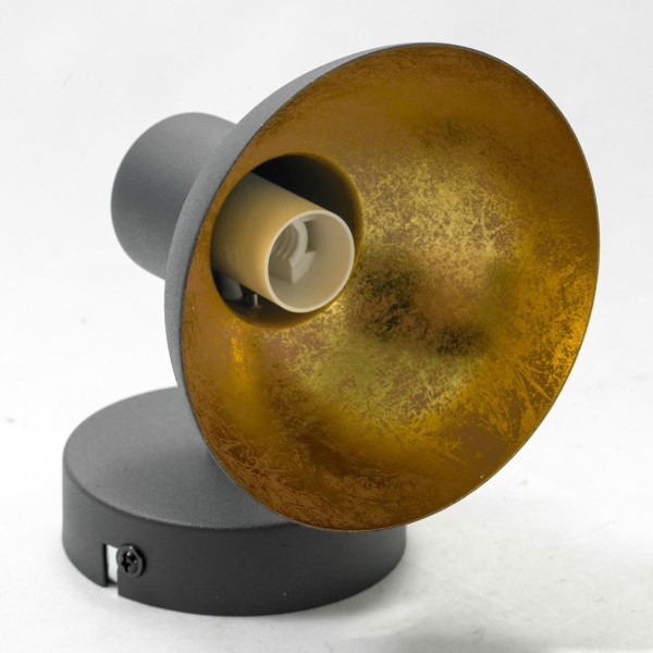 Спот Lussole  GRLSP-9973 от интернет-магазина IDODOM.RU