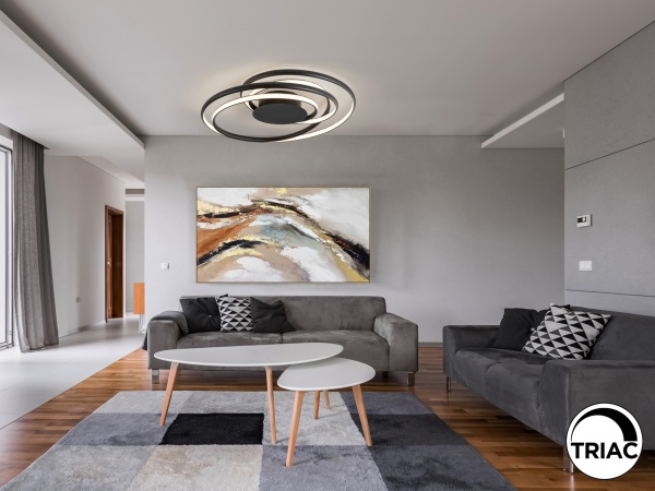 Потолочный светильник Danza D70 черный от интернет-магазина IDODOM.RU