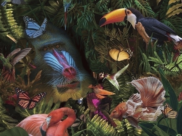 Фотография Selvatica 100x100 см от интернет-магазина IDODOM.RU