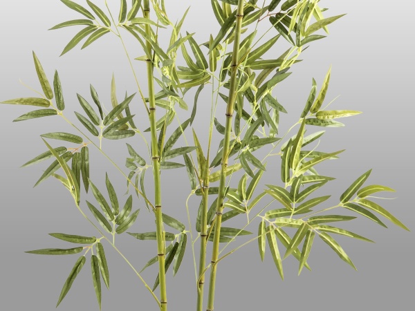 Bambu Искусственное растение H170 от интернет-магазина IDODOM.RU