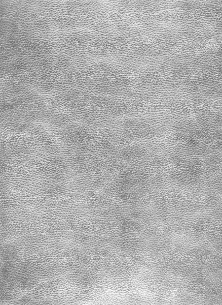 Подушка C2 METALIZED LEATHER  40*40 от интернет-магазина IDODOM.RU