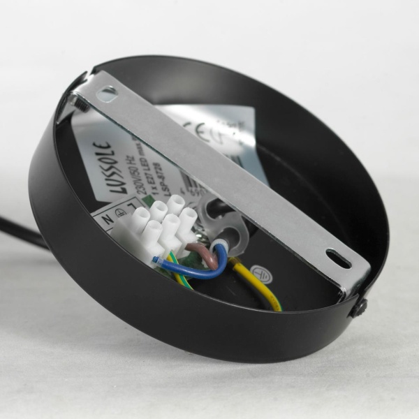 Подвесной светильник Lussole GRLSP-8728 от интернет-магазина IDODOM.RU